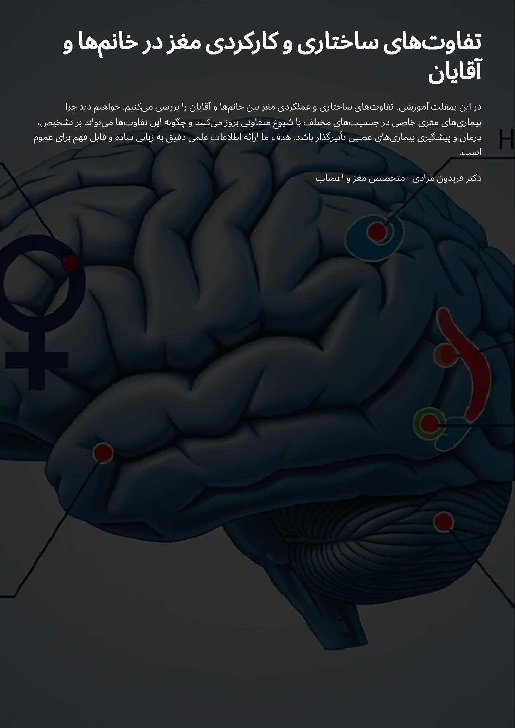 تفاوت های ساختاری و کارکردی مغز در خانم ها و آقایان