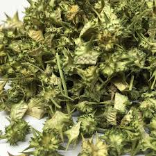 مکمل تریبلوس Tribulus Terrestris