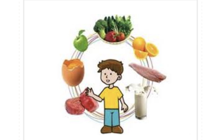 رابطه تغذیه و دانش آموزان