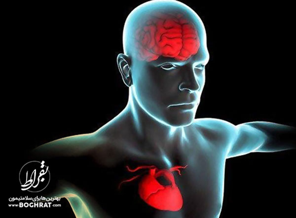 تفاوت " حمله مغزی" و "حمله قلبی"