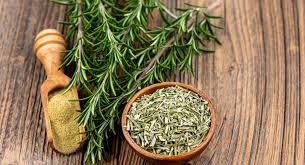 عصاره رزماری گیاهی معطر با خواص شگفت انگیز
