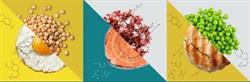 غذاهای آینده  پروتئین های نوین مثل جلبک و گوشت گیاهی