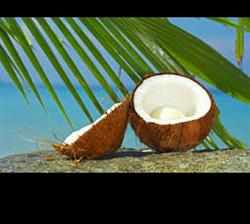 تاثیر مصرف نارگیل برای ورزشکاران