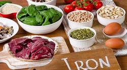 چه موادی غذایی دارای آهن میباشند ؟