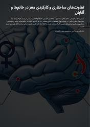 تفاوت های ساختاری و کارکردی مغز در خانم ها و آقایان