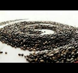 تاثیر دانه چیا در ورزشکاران