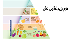 رژیم غذایی دش و کنترل فشار خون