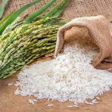مصرف برنج از نگاه تغذیه ای