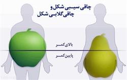 انواع توزیع چربی در بدن و روش های درمان چاقی