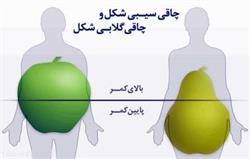 انواع توزیع چربی در بدن و روش های درمان چاقی