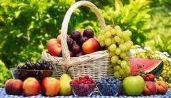 دنیای میوه های تابستانی