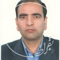 دکتر محمدرضا صباغی سیوکی