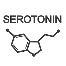 سروتونین یا هورمون شادی چیست ؟