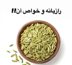 رازیانه