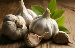 سیر ؛حبه کوچیک ، معجزه بزرگ