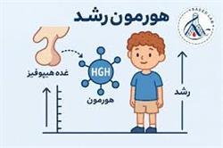 آزمایش هورمون رشد (GH) چیست و چه کاربردی دارد؟