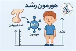 آزمایش هورمون رشد (GH) چیست و چه کاربردی دارد؟