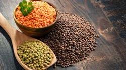 بررسی نقش و اهمیت مصرف عدس در رژیم غذایی انسان
