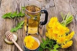 عصاره گل قاصدک فواید، خواص درمانی و کاربردها در تغذیه