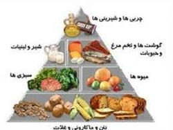 بهترین برنامه ریزی برای تغذیه