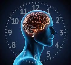 تأثیر ساعت زیستی بدن بر جذب مواد مغذی (Chrononutrition)