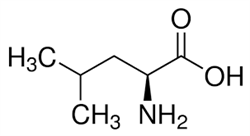 لوسین (Leucine) چیست؟