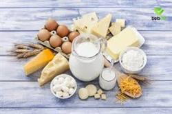 نقش لبنیات در التهابات بدن