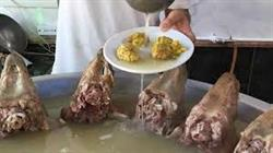 کله پاچه؛ خوراک مقوی یا بمب چربی؟ بررسی کامل ارزش تغذیه ای و مضرات احتمالی