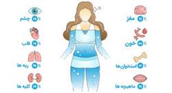 اهمیت مصرف مایعات در تنظیم عملکرد بدن و پیشگیری از کم آبی