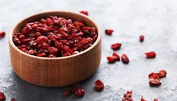 زرشک؛ الماس سرخ طبیعت