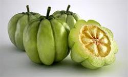 گارسینیا کامبوجیا