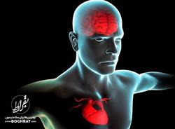 تفاوت " حمله مغزی" و "حمله قلبی"
