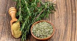 عصاره رزماری گیاهی معطر با خواص شگفت انگیز