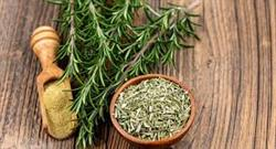 عصاره رزماری گیاهی معطر با خواص شگفت انگیز