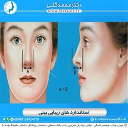 استاندارد های زیبایی بینی